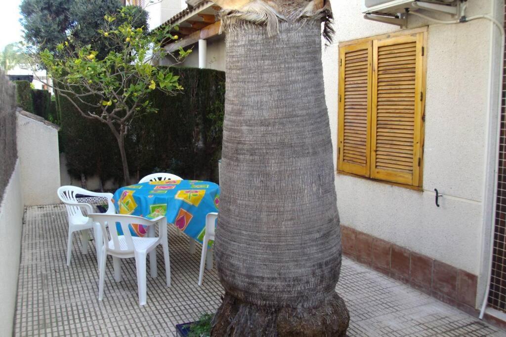 또레비에하 La Casa De La Palmera 아파트 외부 사진