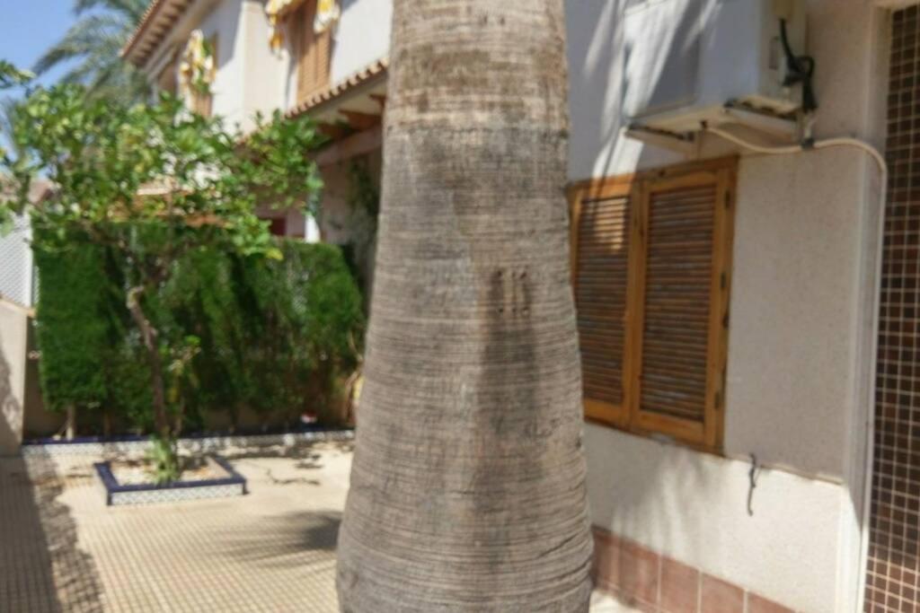 또레비에하 La Casa De La Palmera 아파트 외부 사진