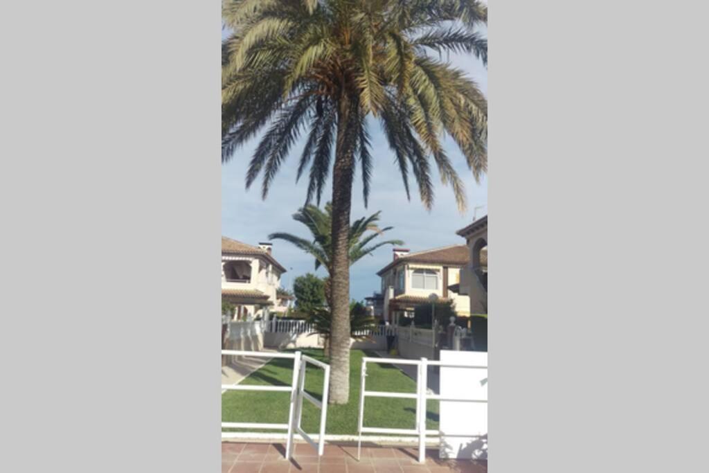 또레비에하 La Casa De La Palmera 아파트 외부 사진